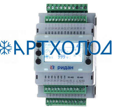 Контроллер производительности Ридан Р-КП 301 (080G0289R)